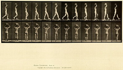 10 - Vol 1 - Plate 27